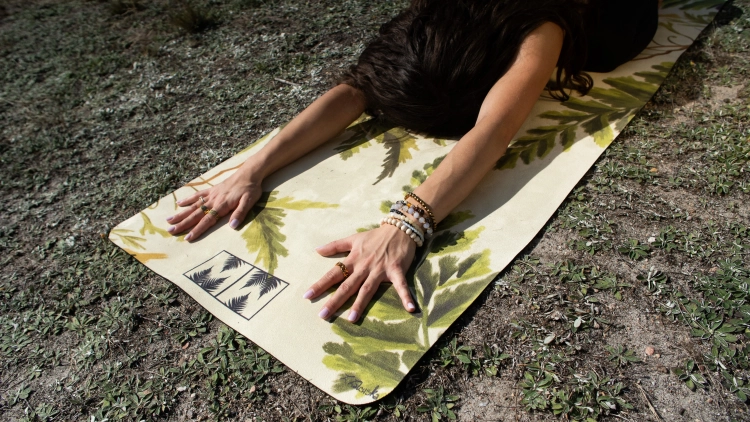 mata do jogi w rośliny mellow ways