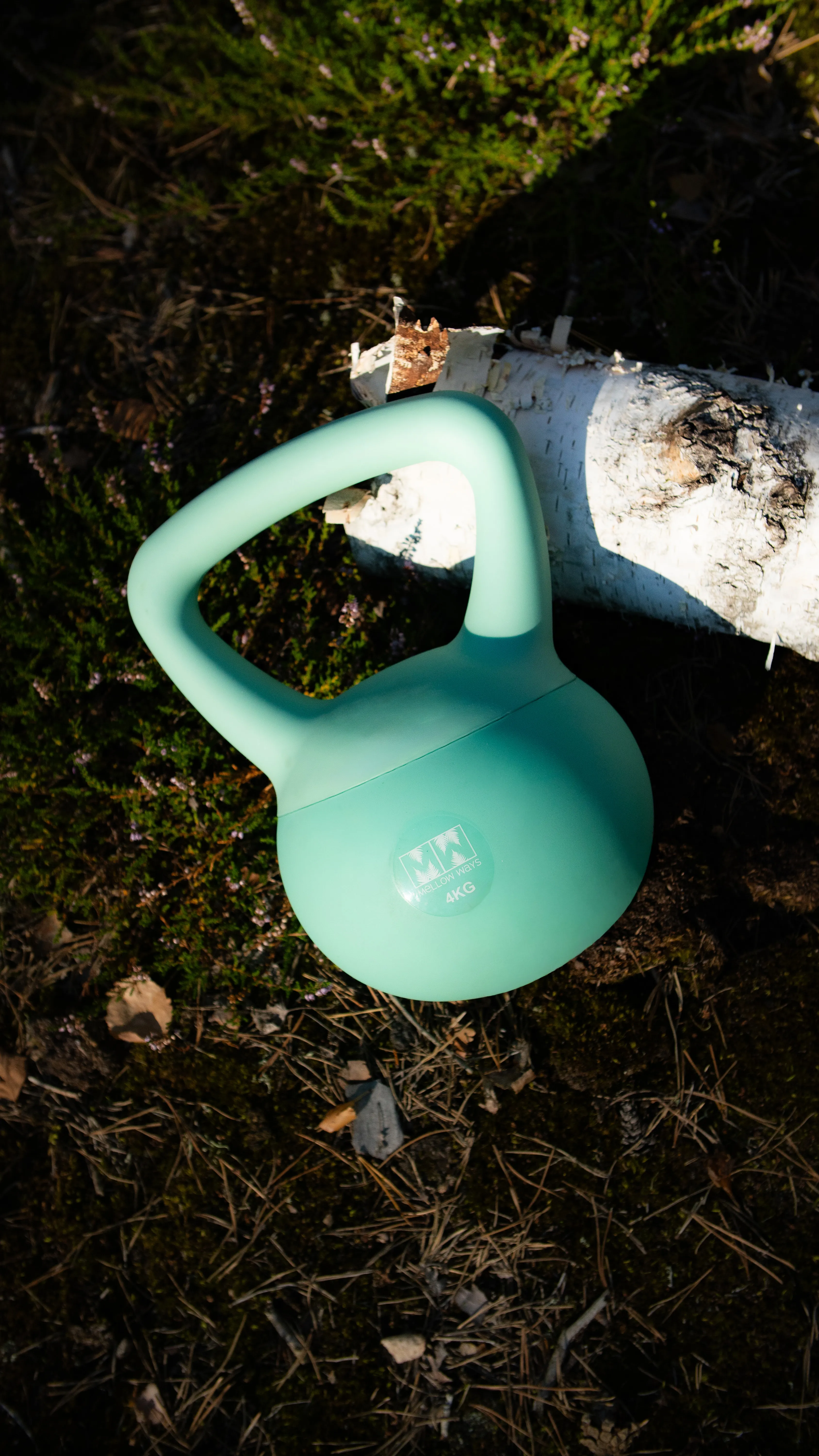 kettlebell 4 kg
